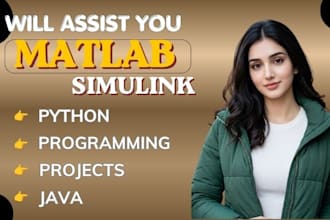do matlab simulink and matlab programming matlab task for you