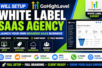 setup gohighlevel white label saas agency with custom domain