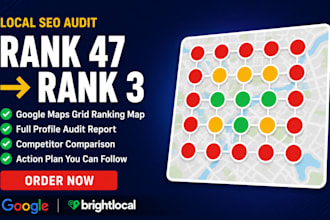 do a local SEO audit with a google maps grid ranking report