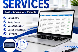 do data entry, copy typing and PDF conversion