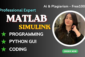 do matlab simulink and matlab programming , matlab task for you