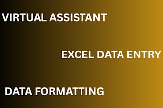 be your virtual assistant for data entry and web research services