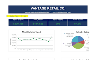 create a professional excel dashboard with KPI reports