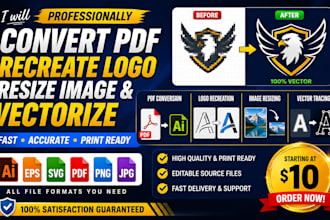 professionally convert PDF, recreate logo, resize image and vectorize