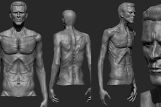 do realistic 3d human anatomy, male body for games, art, and for 3d printing