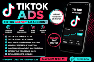 create tiktok ads, tiktok agency ad account, and manage tiktok campaigns