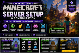 professionally set up your minecraft server