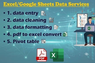 clean, format, entry and analyse excel data