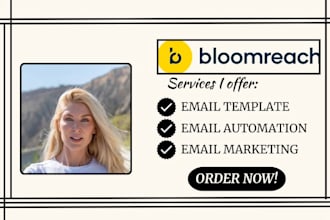 setup bloomreach abandoned cart email automation