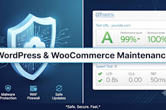 provide expert wordpress and woocommerce maintenance and support