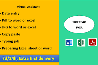 do data entry, PDF or jpeg to word or excel, copy paste