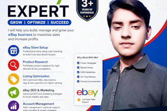 manage your ebay store professionally