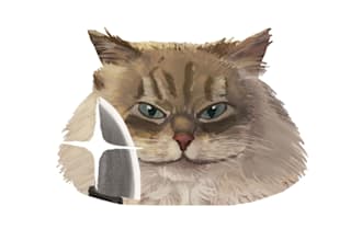 make a digital drawing of your pet