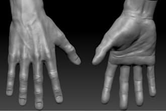 detailed 3d male hand sculpt,realistic anatomy study,mid poly model stl printing