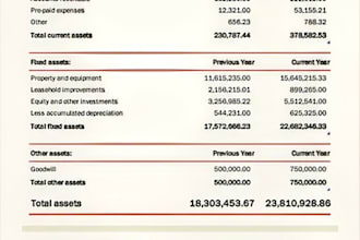 provide professional financial analysis and excel reports