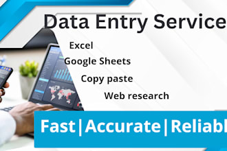 excel and google sheets data entry