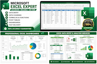 microsoft excel data entry and spreadsheet tasks