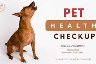 design professional social media posts for veterinary clinic