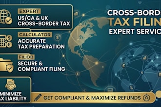 provide cross border tax filing and international tax compliance services