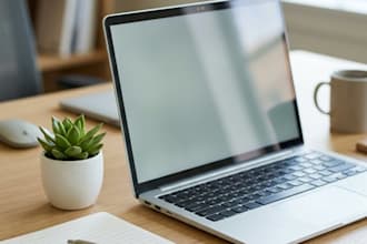 do professional data entry and spanish transcription