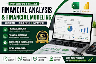 provide professional financial analysis and financial modeling services