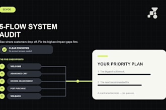 audit 5 shopify klaviyo flows without account access