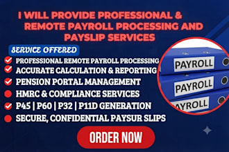 provide professional remote payroll processing and payslip service
