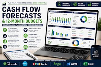build cash flow forecasts and 12 month budgets for small and medium businesses