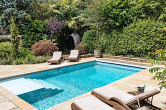 design realistic 3d swimming pool with landscape