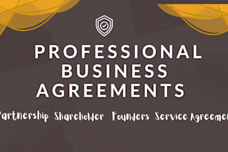 draft shareholder, partnership, founders and business agreements professionlly