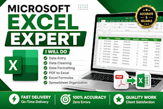 do microsoft excel data entry, data cleaning and formatting