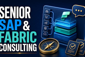 provide senior sap bi and microsoft fabric consulting