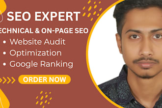 do technical seo website audit on page off page google indexing