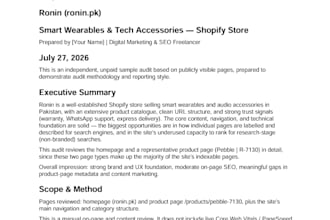 do a complete website audit for SEO, speed, UX and accessibility