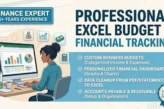 organize financial data and business budget in excel