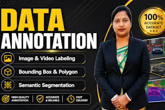 do professional image annotation and data labeling