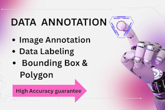 professional image annotation, data labeling, and text bounding box