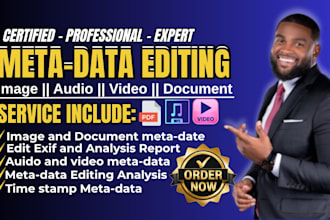 do metadata editing, file analysis, data correction for document, audio, image