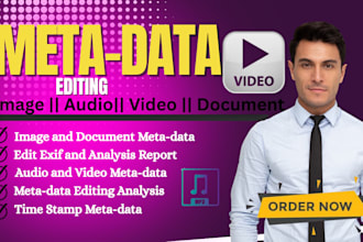 do metadata editing, file analysis, data correction for document, audio, image
