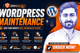 provide wordpress maintenance, security and bug fixes