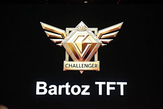 help you rank up in tft