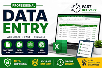 do accurate data entry, copy paste, excel data entry, typing and web research