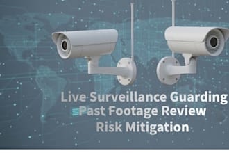 provide professional remote cctv monitoring and surveillance