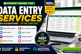 do accurate data entry, excel data entry, copy paste and web research