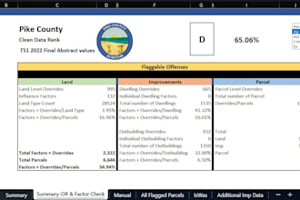 clean, format, and organize excel data