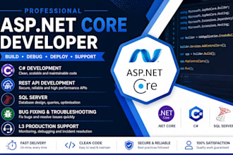 develop asp net core web API and fix c sharp sql server bugs