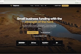 make graphics and web apps for lead gen and capture