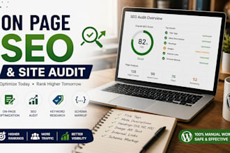 do on page seo and site audit for a wordpress website