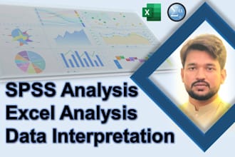 do excel statistics, spss data analysis and survey analysis