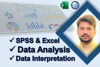 do excel statistics, spss data analysis and survey analysis